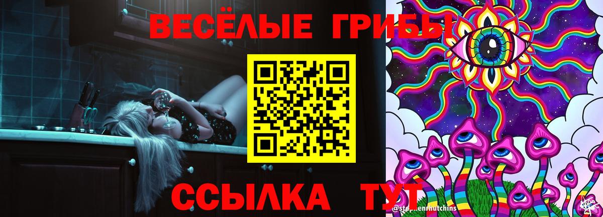 Вологда  Псилоцибиновые грибы MAGIC MUSHROOMS  Вход с VPN  Галлюциногенные грибы прущие грибы 
