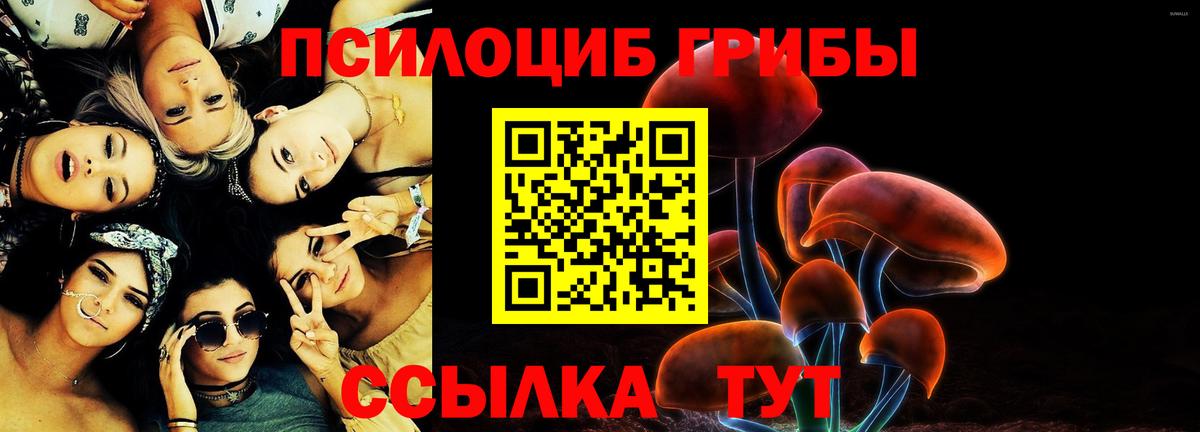 Галлюциногенные грибы Psilocybine cubensis Вологда