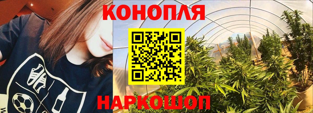 Бошки Шишки VHQ Вологда